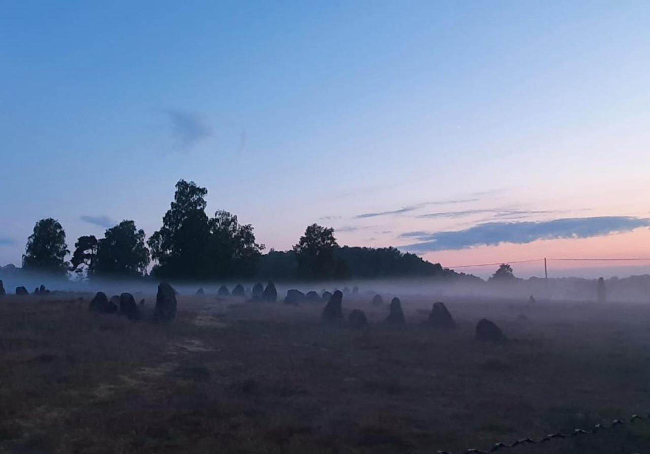 Vittfarnas Hird Vikingaby Bed & Breakfast Sosdala Eksteriør bilde